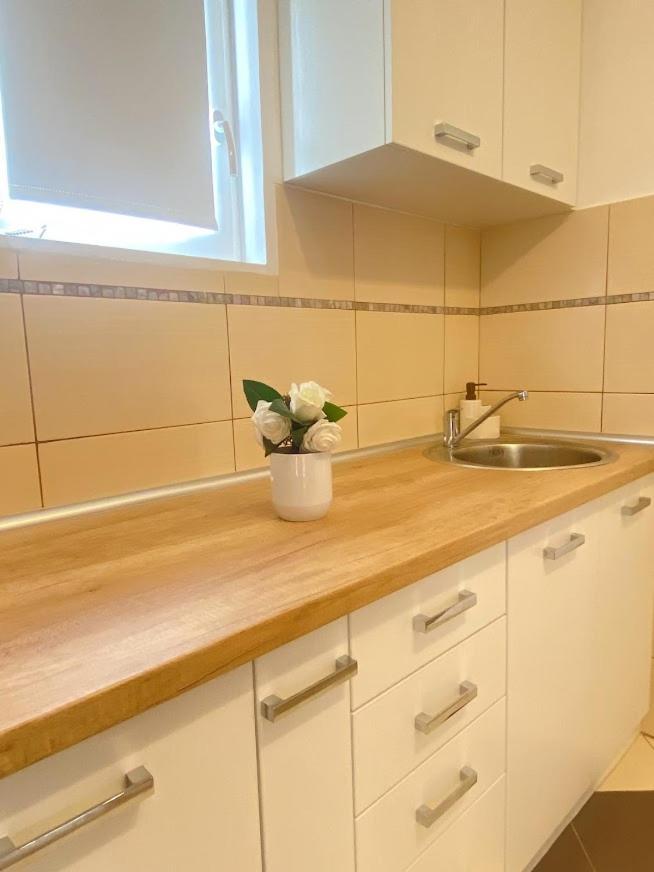 Apartman Mina Mataruska Banja Екстер'єр фото