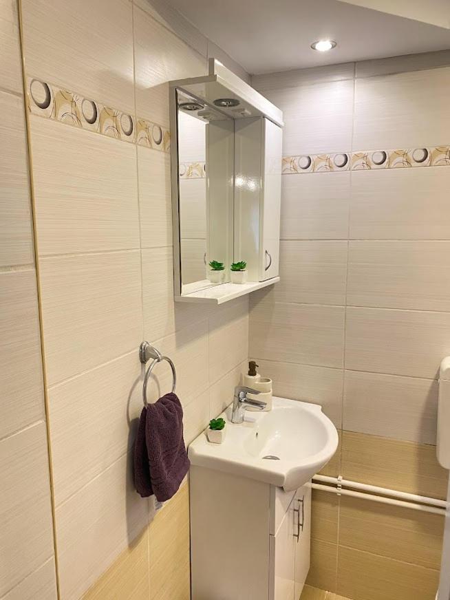 Apartman Mina Mataruska Banja Екстер'єр фото