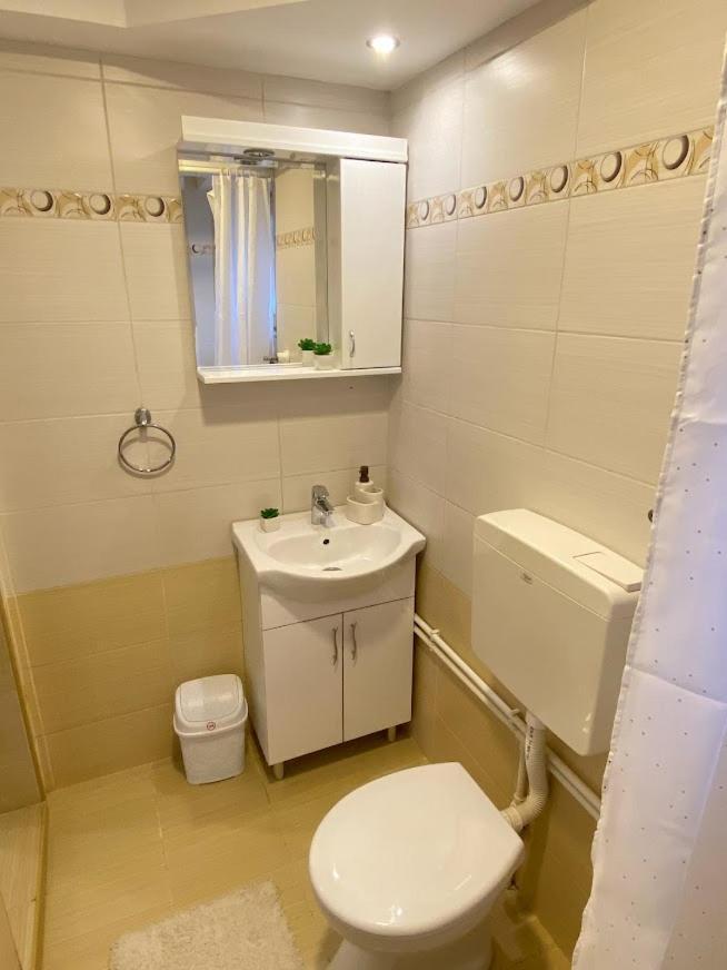 Apartman Mina Mataruska Banja Екстер'єр фото