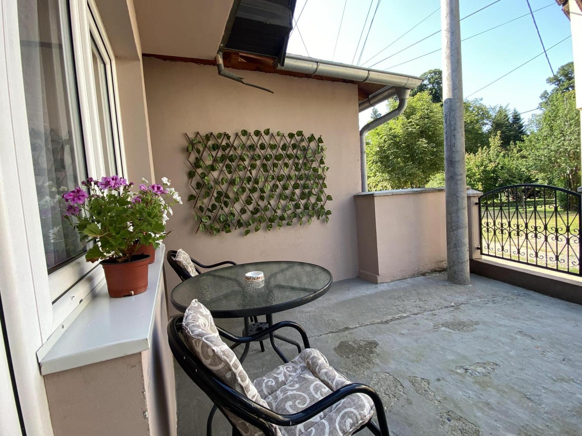 Apartman Mina Mataruska Banja Екстер'єр фото